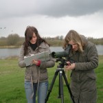 Zwei junge Frauen beobachten Seeschwalben in der Natur. 